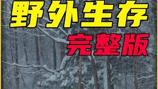 第46集 | 谁能拒绝在睡觉时刷上一集解压助眠的雪天露营 #露营 #解压 #野外生存 #野外建造 #雪天露营