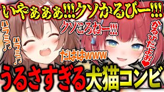 CRカップ顔合わせからボコボコに殴り合いまくるころさんとかるびが面白すぎるwww【ホロライブ/戌神ころね//切り抜き】【赤見かるび/ドンピシャ/かずのこ】【スト６】