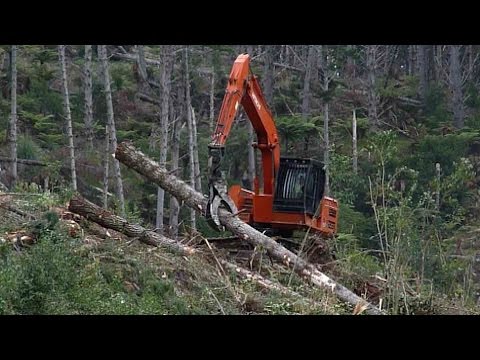 Forest machines. Grappling assisted hauling in New Zealand 04 Forest machines. Grappling assisted hauling in New Zealand 04