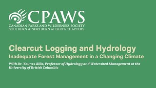 Clearcut Logging and Hydrology