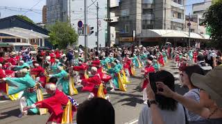 2019年よさこい【ほにや】本祭1日目  升形地域競演場