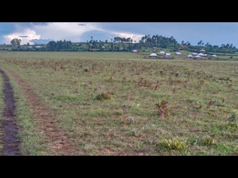 Update Umva Umwe Muba Sage Bukavu Nyuma Yo Gufatwa Minembwe