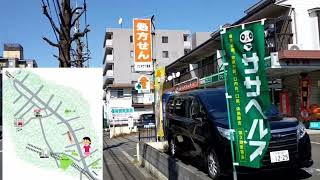 多摩市の馬引沢通りを歩いてみました！