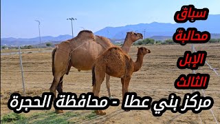 مهرجان سباق محالبة الإبل - الثالث بمركز بني عطا محافظة الحجرة منطقة الباحة الخميس 28-8-1446#اكسبلور