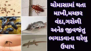 ચોમાસામા થતા માખી,મચ્છર,વંદા,ગરોળી અનેક જીવજંતુ ભગાડવાના ઘરેલુ ઉપાય/ Makhi bhagadva na gharelu upay