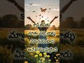 పక్క వాళ్ళు ఏమనుకుంటారు అనే భయంతో teluguquotesintelugu