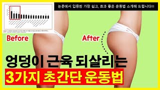 논문에서 입증된, 볼륨 살아나는 최고의 엉덩이 근육 운동법 (즉각 효과 보실수 있습니다!)