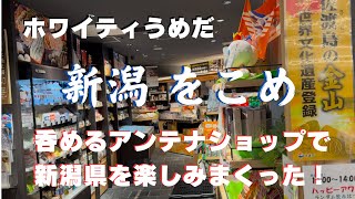 【ホワイティうめだ】呑めるアンテナショップで新潟県を楽しみまくった！