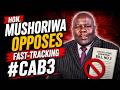 Hon. Mushoriwa against fast-tracking #CAB3