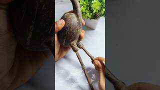 How to make a crane bird🥥 #coconutshellcraft #diy #shortsfeed #shorts