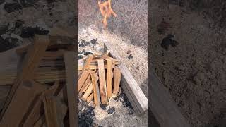 Split wood fire