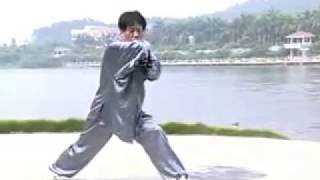 太极梅花螳螂拳 第一路 (张振远) Tai Chi Mei Hua Praying Mantis - Di Yi Lu