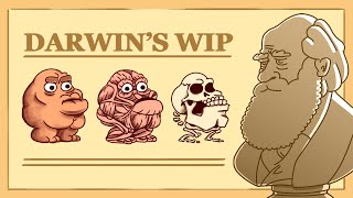 Darwin's Wip