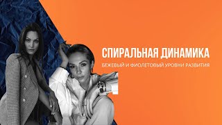 СПИРАЛЬНАЯ ДИНАМИКА. Уровни психического развития. Часть 3