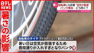 【猛暑の影響】車の修理依頼や自転車のパンクが増加  福井では「ブランドサバ」が…