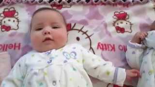 Centennial Stem Cell Video