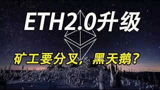 以太坊升级ETH2 0，矿工分叉有可能是下半年的黑天鹅（时事篇022）