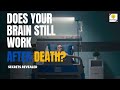 Does Your Brain Still Work After Death? Surprising Science Revealed!