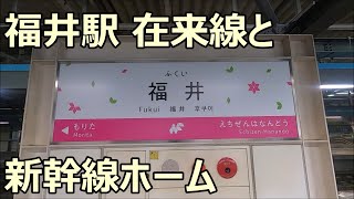 北陸新幹線開業！福井駅の在来線(ハピラインふくい)ホームと新幹線ホームを見る