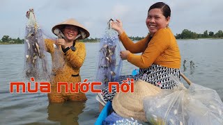 giăng lưới cá linh mùa nước nổi 2024 - Cast a net for the floating water season linh fish