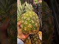 Satisfying Fresh Pineapple #fruits #shorts #capcut #shortsfeed  #asmr #viral #trending