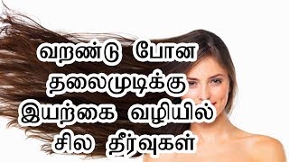 வறண்டு போன தலைமுடிக்கு இயற்கை வழியில் சில தீர்வுகள்