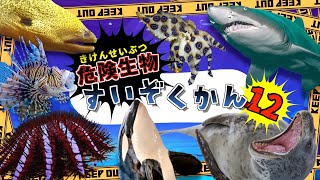 【海の危険生物】水族館へ行こう！12 【子供向け 海のいきものアニメ】海にいる危険な生き物が11種類登場するよ 子供が喜ぶ動く海の生き物図鑑★【海の生き物の知育動画】サメ シャチ