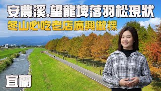 2024宜蘭安農溪落羽松現狀|望龍埤|天送埤|宜蘭必吃在地老店廣興做粿