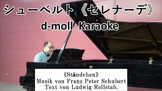 F.Schubert 《Ständchen》 d-moll Karaoke