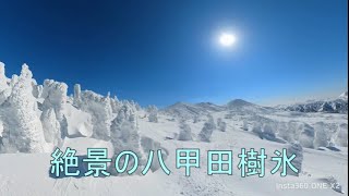 絶景の八甲田樹氷№１（2022年３月９日）