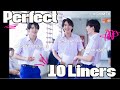 APS Trio Perfect 10 Liners