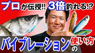 【バイブレーションの使い方】素材選び・重さ選び・３つの釣法！基本ルアーで差が歴然！オヌマンのシーバス塾