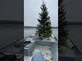 christmas tree drop for crappie crappiefishing