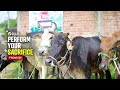Fulfil Your Qurbani, Feed Those in Need