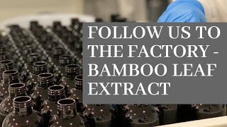 The Art of Crafting Bamboo Leaf Liquid Extract | Herbal Goodness