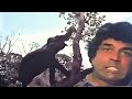 हाथी ने Dharmendra जी की जान लेने की कोशिश - Dharmendra Best Scene - Maa (1976) - Best Movie Scene