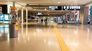 Inside The Kansai Airport Japan (KIX) April 2020