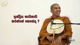 ඉන්ද්‍රීය භාවනාව | Ven.Kirulapana Dhammawijaya Thero