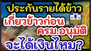 แจ้งข่าวเกษตรกร#ประกันรายได้ข้าว#ชาวนาปลูกข้าว#เก็บเกี่ยวก่อน ครม อนุมัติได้เงินหรือไม่#เกี่ยวข้าว