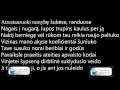 Mad Nation- Mi Casa Tu Casa with lyrics on screen