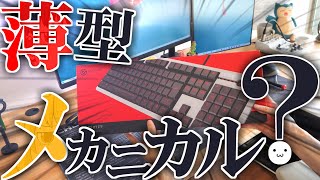 【格安】エレコムの薄型メカニカルキーボードを紹介します。致命的な点をみつけてしまいました。