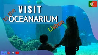 VISIT TO THE LISBON OCEANARIUM