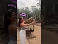 cheeky monkey steals woman s drink 🐒😂