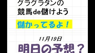 グラグラタンの競馬de儲けよう（簡単競馬予想）　１１月１９日（土）分