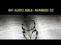 NUMBERS 22 NIV AUDIO BIBLE (with text)