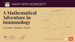 A mathematical adventure in immunology by Carmen Molina-Paris