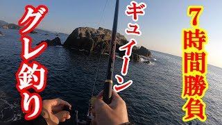 【グレ釣り】那智勝浦　太師丸渡船　グレ釣り