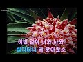 님이 좋아요 백설희 이미자 노래방영상