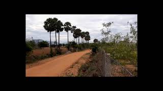 48. THENI DIST. BODINAYAKANUR 3 ACRE AGRI FARM IN ROAD SIDE