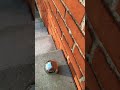 balls falling